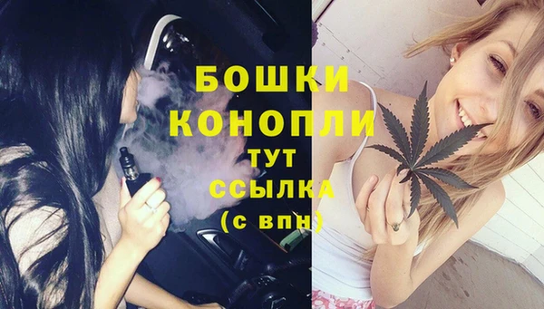 шишки Баксан