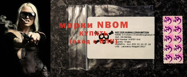 шишки Баксан
