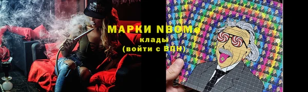 шишки Баксан